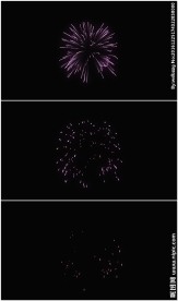 紫色烟花绽放