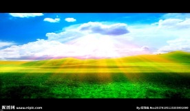 阳光草原 视频素材