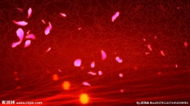 春晚循环播放喜庆花瓣背景