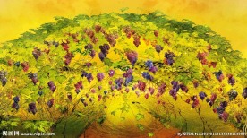 维吾尔族葡萄园