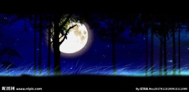 树林月亮led背景视频