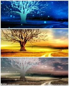 大树景色变换