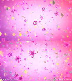 粒子花瓣特效背景