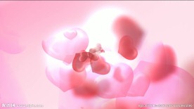 婚礼 爱 情人节视频素材