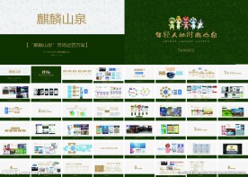 快消产品品牌运营方案