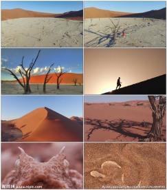 沙漠边疆美丽景观