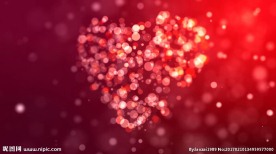 婚礼婚庆爱心视频