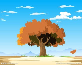 一棵树的四季变化春夏秋冬fla