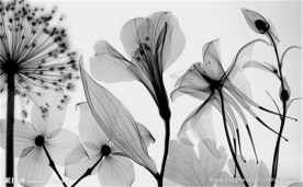 黑白简约电视背景墙装饰画