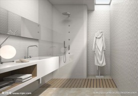 瓷砖空间  室内  浴室