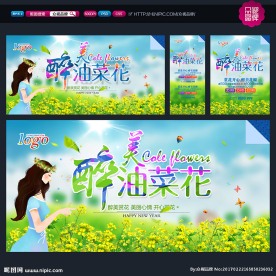 油菜花