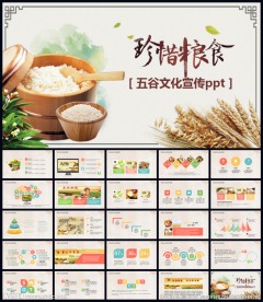 五谷杂粮PPT模板