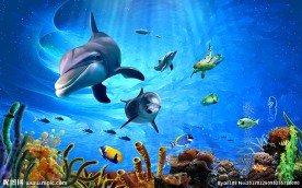 海底世界海豚装饰画背景墙