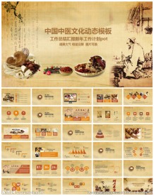 中医文化研究宣传工作总结汇报