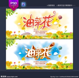 油菜花