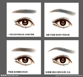AI逼真纹眉眼睛眉毛矢量图