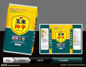 玉米种子