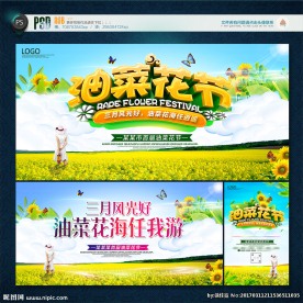 油菜花