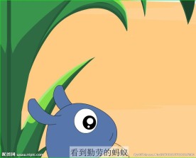 蚂蚁和屎壳螂的故事时长1分钟