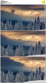 雪山上的夕阳和乌云雪松