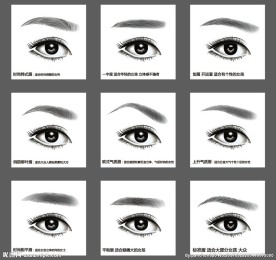 9款AI逼真纹眉眼睛眉毛矢量图