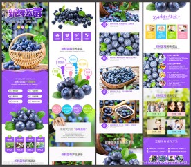 蓝莓详情页 水果详情页