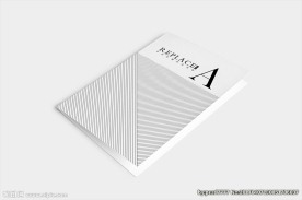 常规宣传单样机