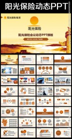 结构完整阳光保险专用PPT模板
