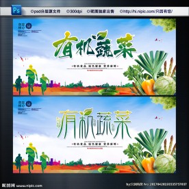 有机蔬菜