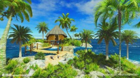 夏日椰岛风情视频