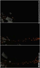 美元沿路径飘飞