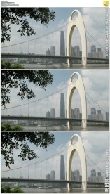 树叶后的广州猎德大桥