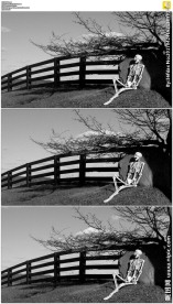 躺在石头旁的骷髅