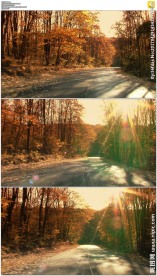 开车路过秋天森林