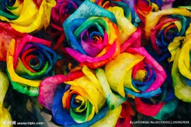 玫瑰油画 装饰画 无框画