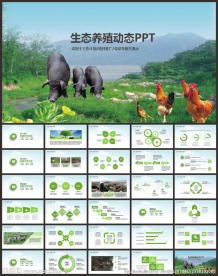 农业生态土猪养殖猪饲料ppt