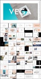 高端简约公司介绍产品发布PPT
