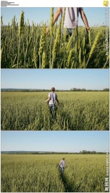 一个男人在绿色麦田行走