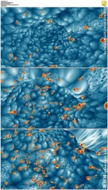 精子在子宫游动
