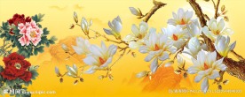 玉兰花