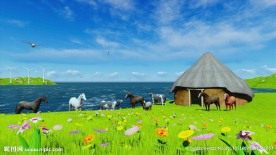 美丽的大草原视频