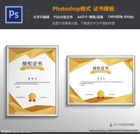授权证书模板