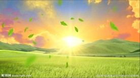 草原日出绿叶