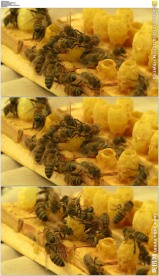 蓝天下开车高速路上穿梭