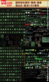 CAD园林树绿化素材