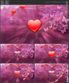 桃心 爱心 婚礼  喜庆 粒子