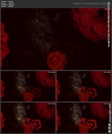 婚礼片头 喜庆 婚庆桃心 春节