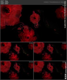 婚礼片头 喜庆 婚庆桃心 春节