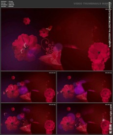 婚礼片头 喜庆 婚庆桃心 春节