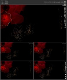 婚礼片头 喜庆 婚庆桃心 春节